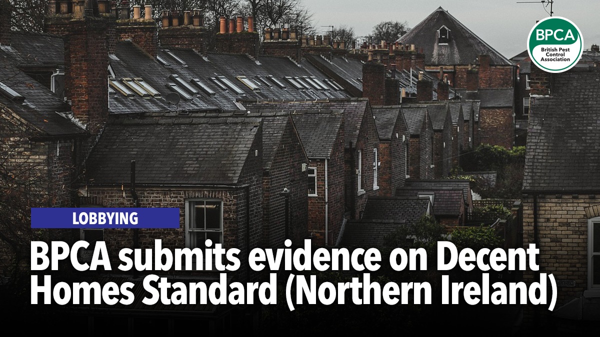 bpca-submits-consultation-response-decent-homes-standard-hero bpca-submits-consultation-response-decent-homes-standard-hero